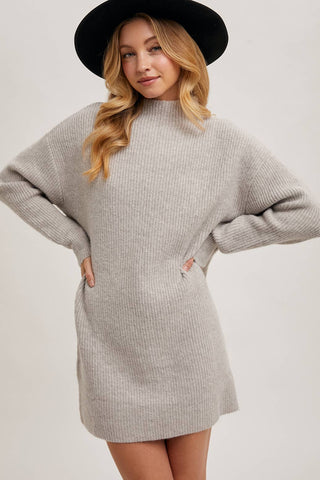 Winter Muse Sweater Dress